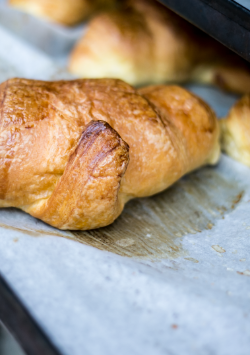 Croissant